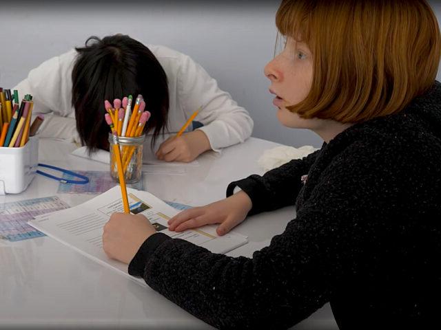 Two students doing school work